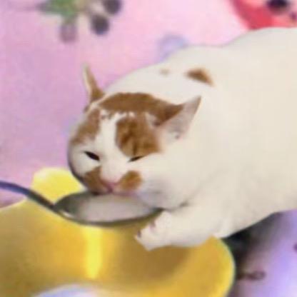 合合