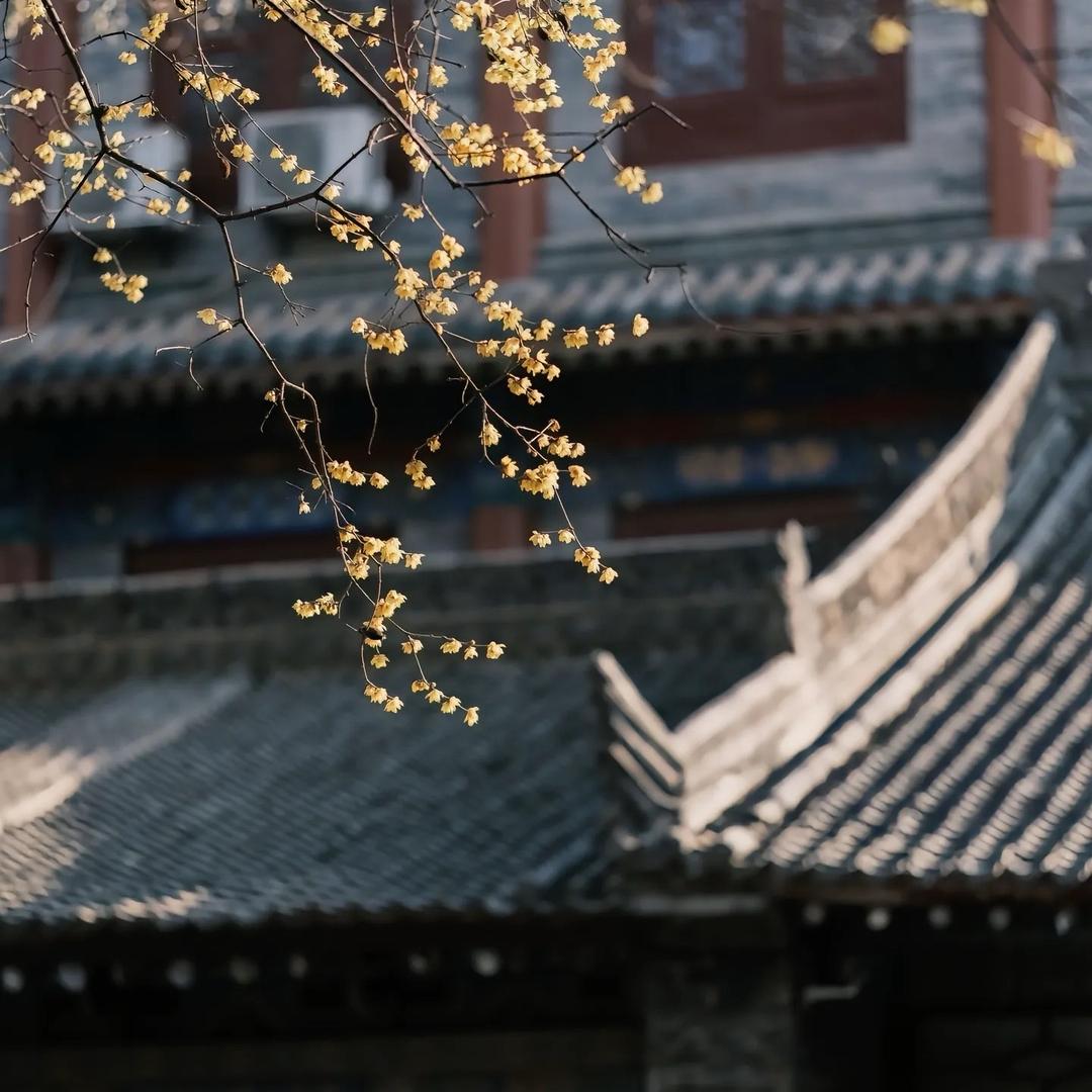五台山 遇见