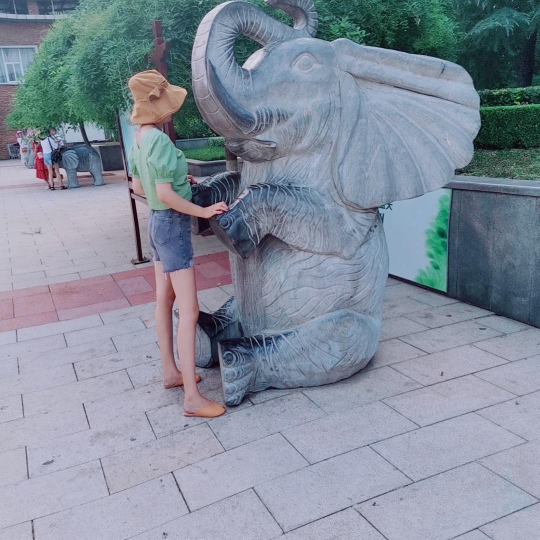 🪷  弘宇装饰建材批发🐉