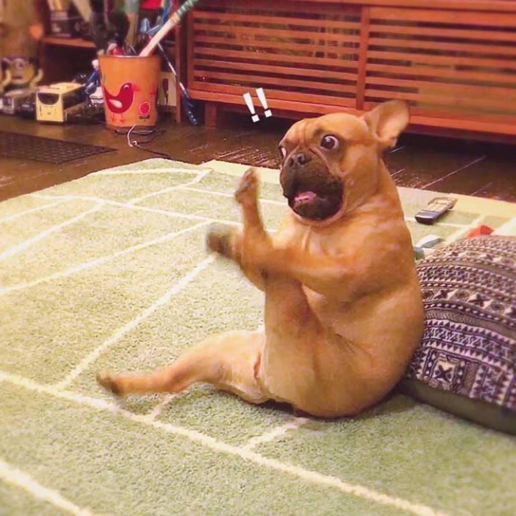 ☆丨柚子统丨★