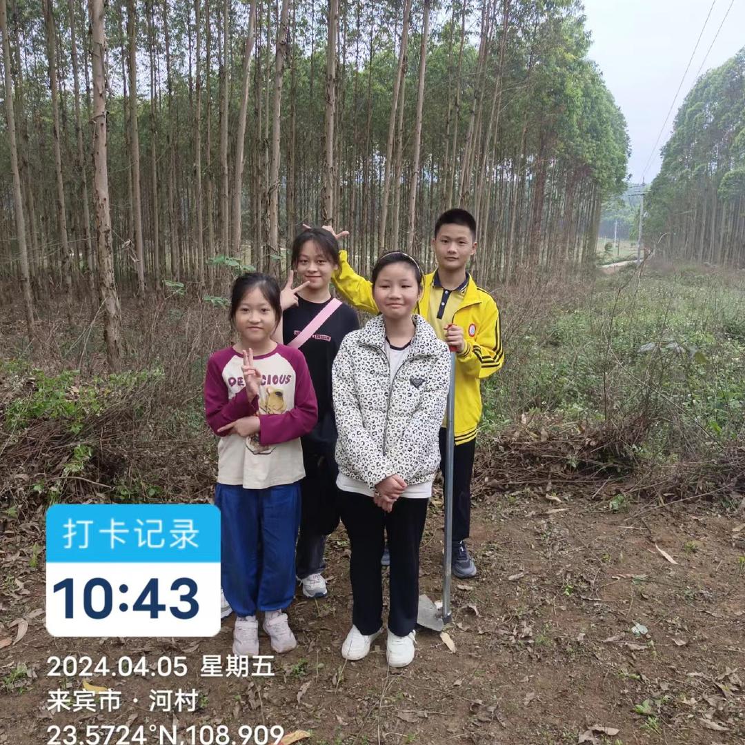 情谊~无情