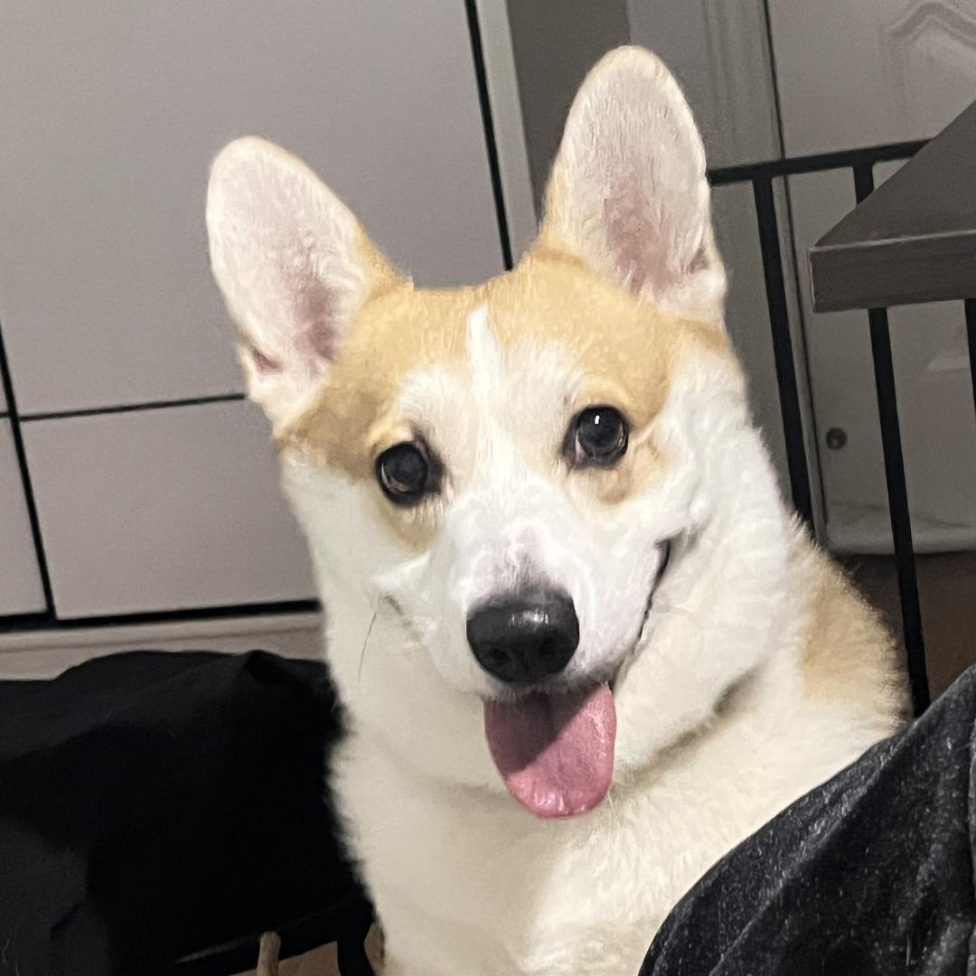 smile