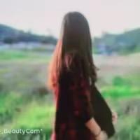 桐桐好物