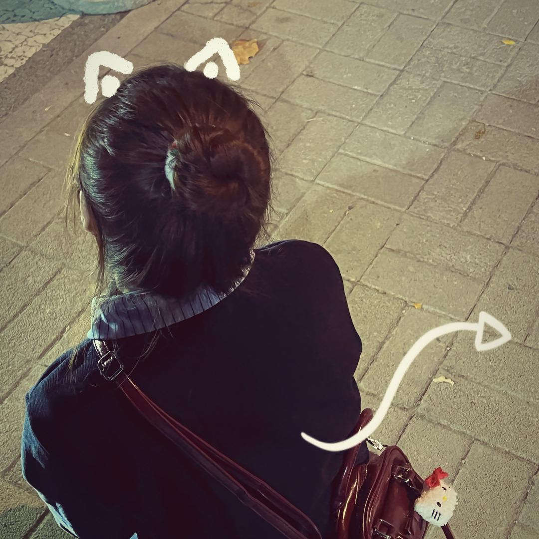 宋宋.
