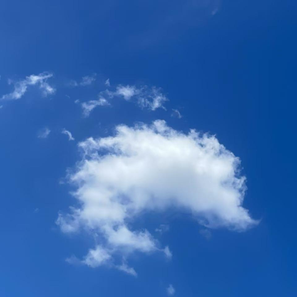 A.Z进击的安布尔