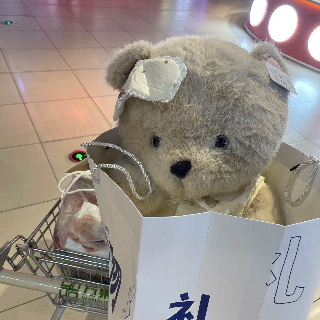 穹宇教育志愿规划