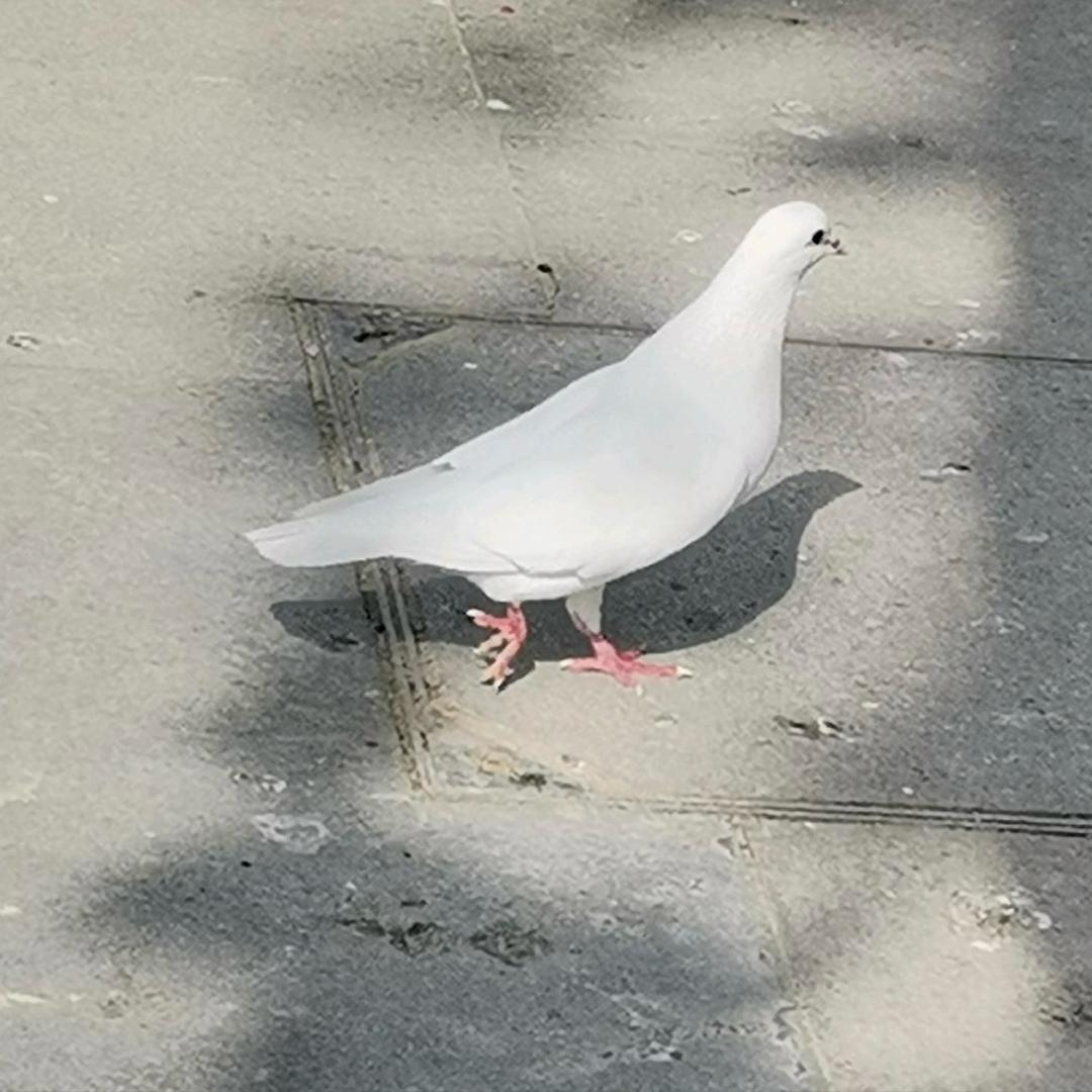 遇旧寻暮序