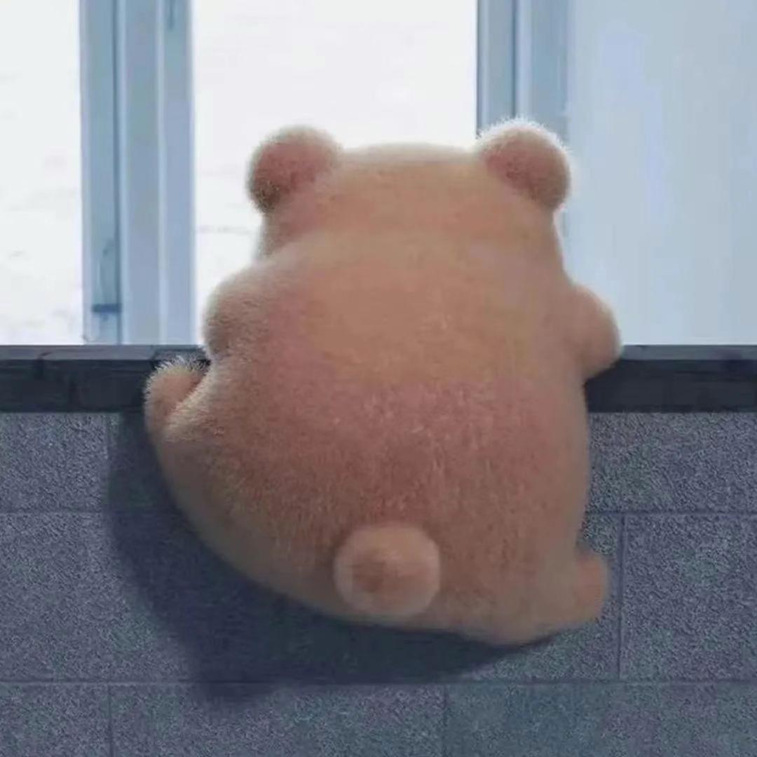 梁ㅤㅤㅤ