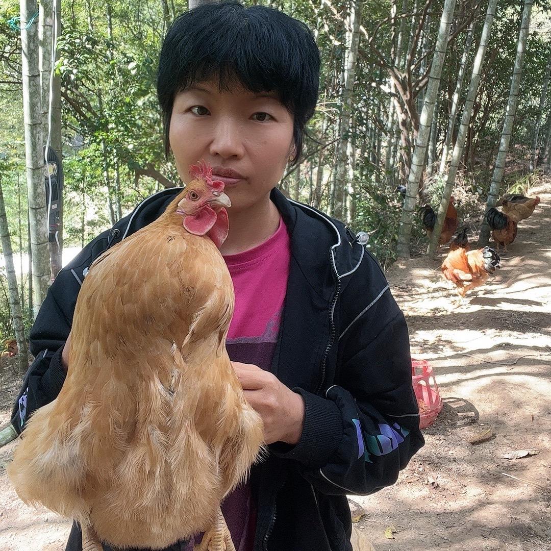 靖姐农场