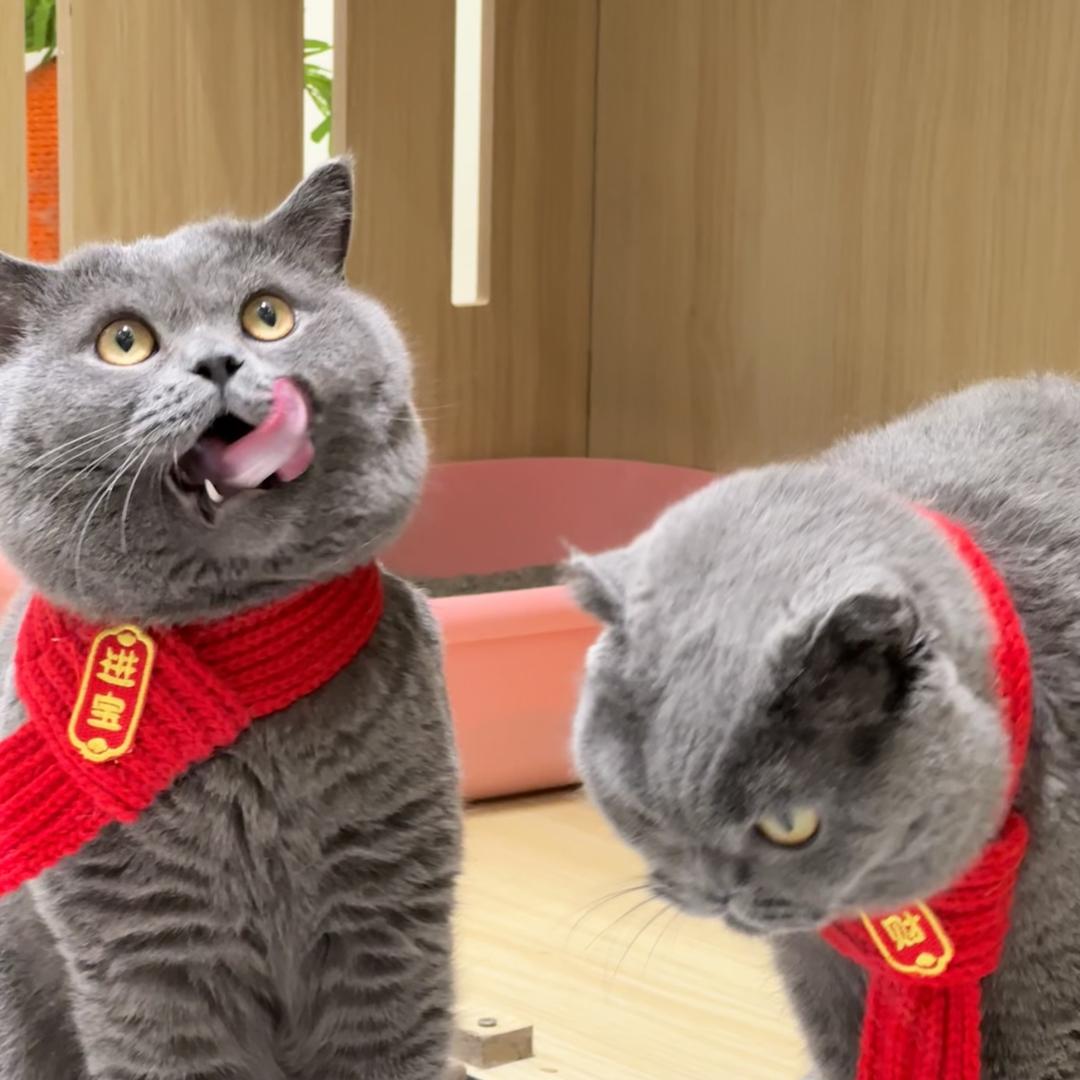 沉迷世俗。
