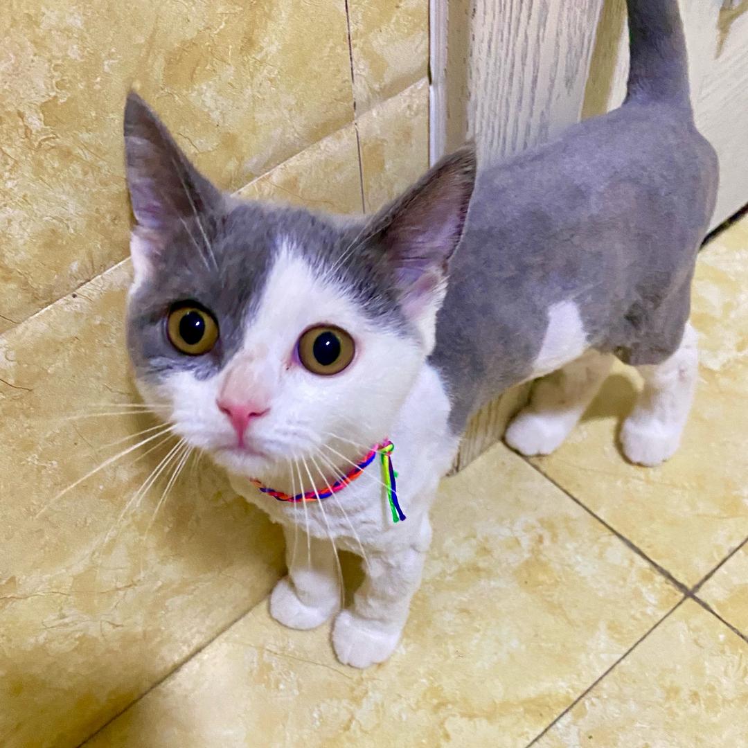 海盗吖🐈‍⬛…