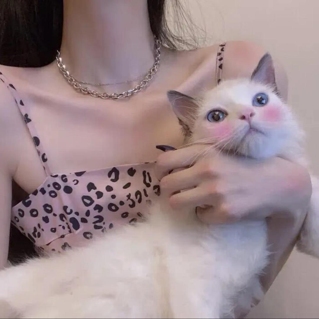 XXin