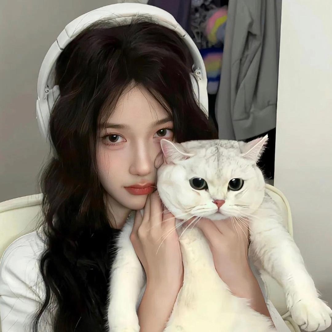 okk猫