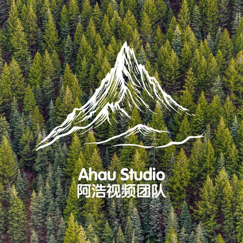 阿浩视频团队