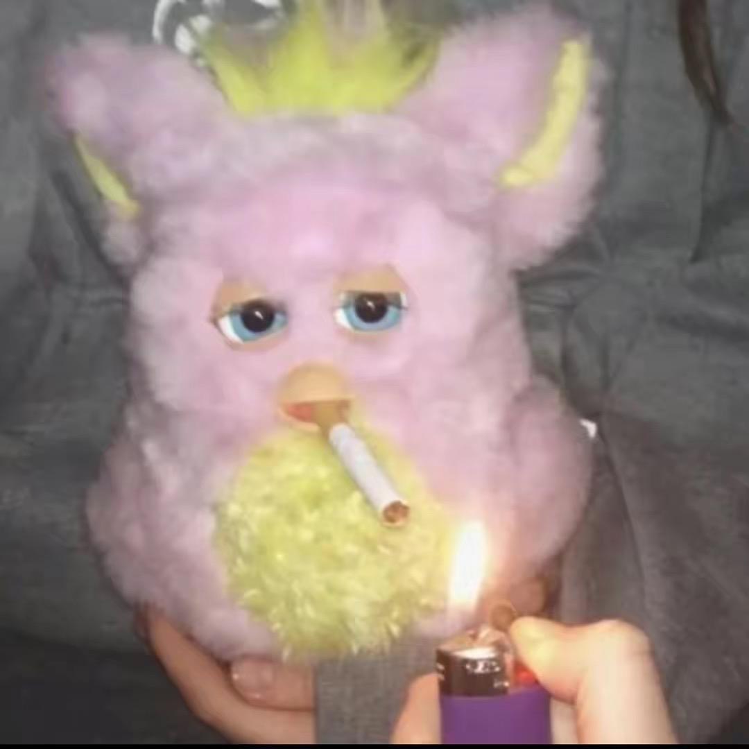 太阳只想在车库弹琴