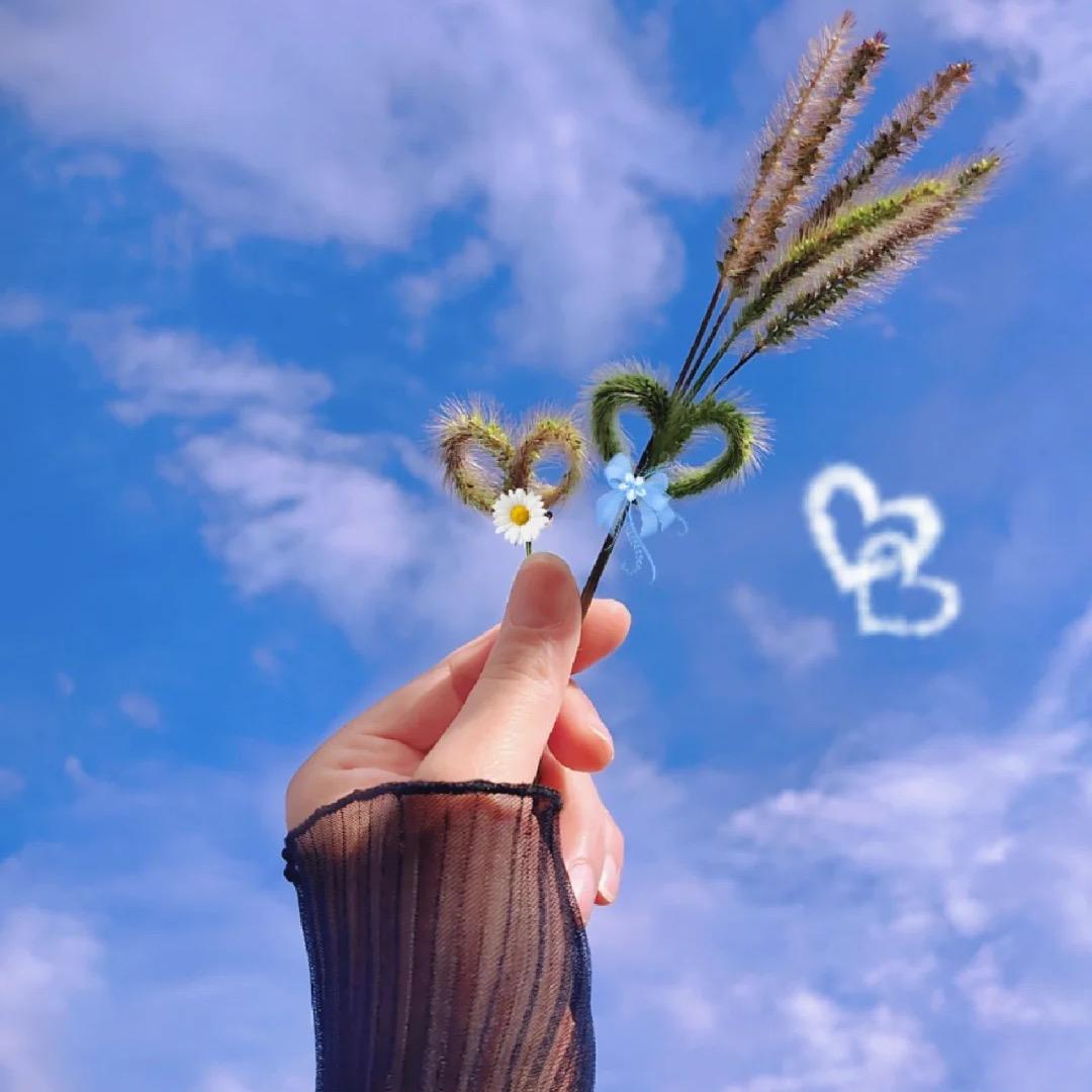 钞票好多“张”🍀