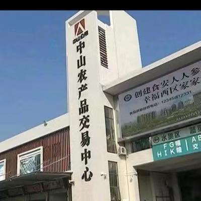 广东大林蔬菜