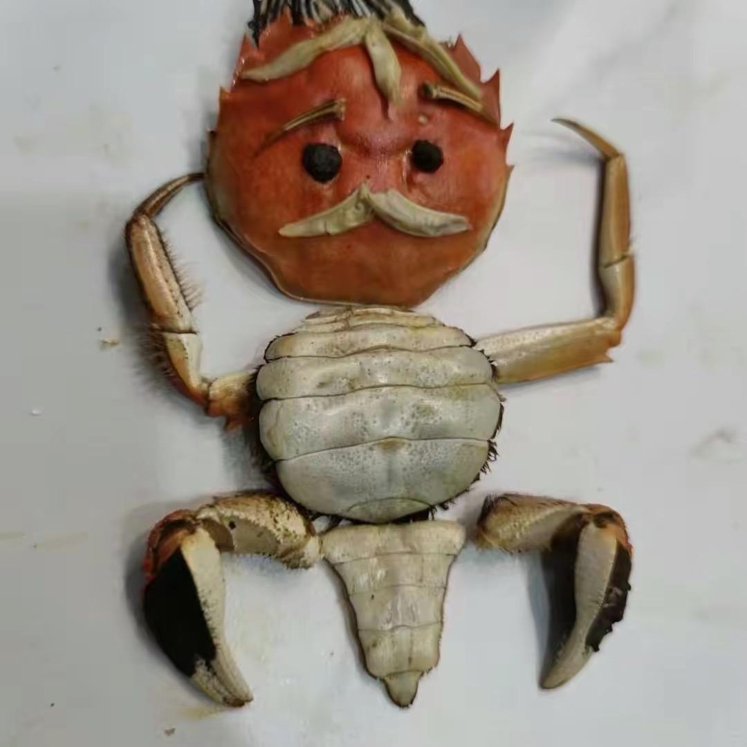 跑去哪里了　　　　    　　　 　🪳