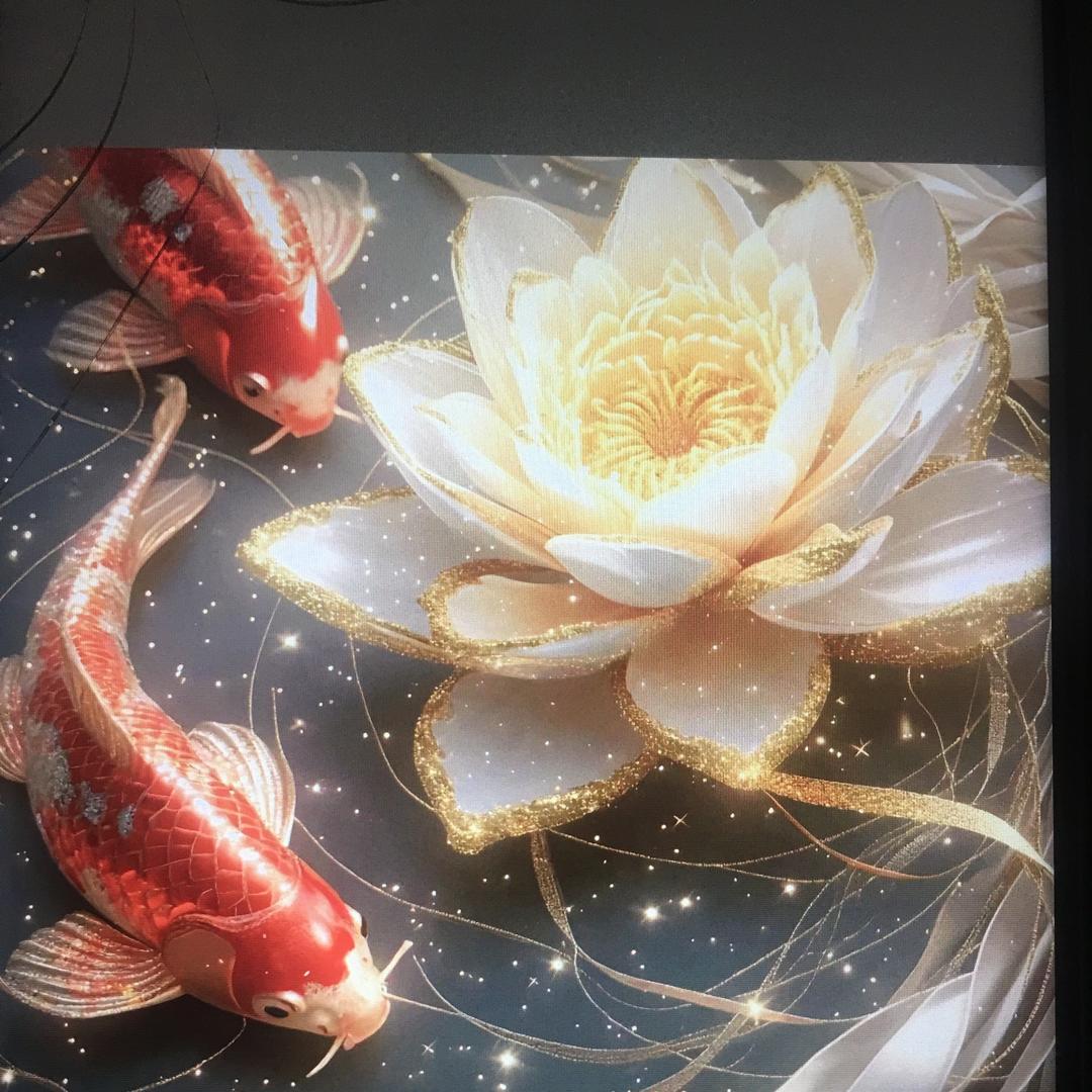 柯帅讲三餐