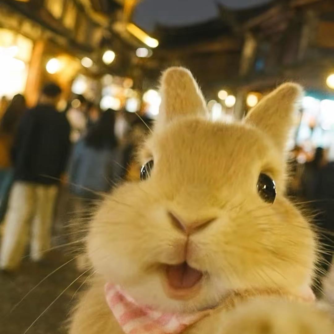 小尾巴
