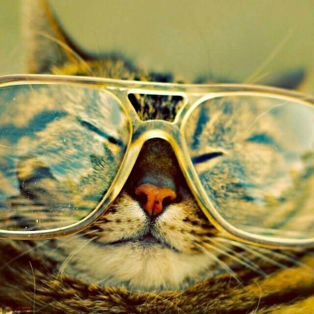 青衫不改旧人还