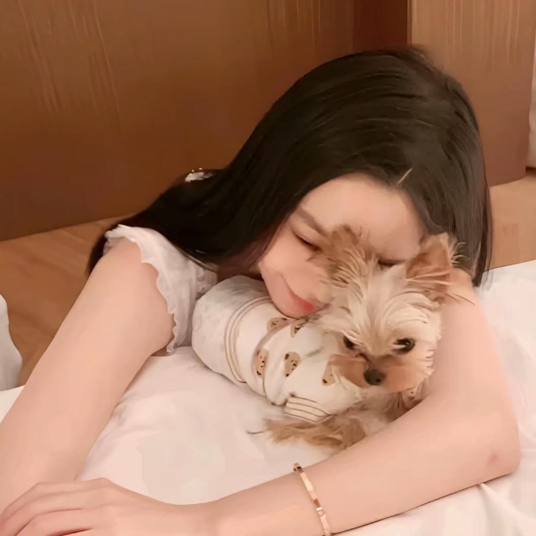 小香猪