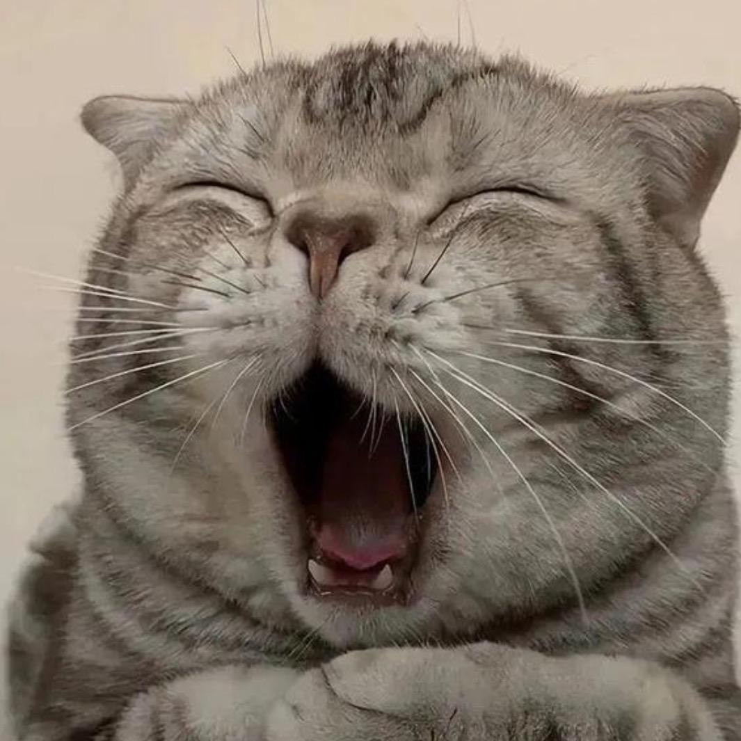 追风赶月莫停留.