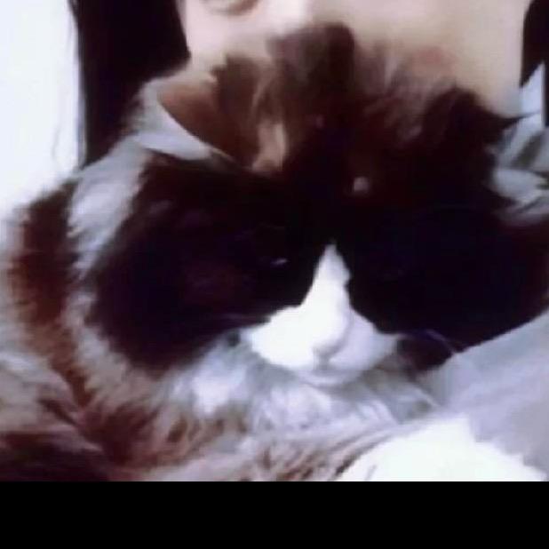 小高要好好踢⚽