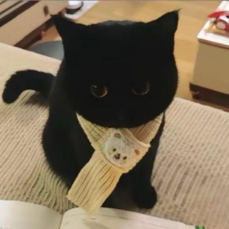 剑来！