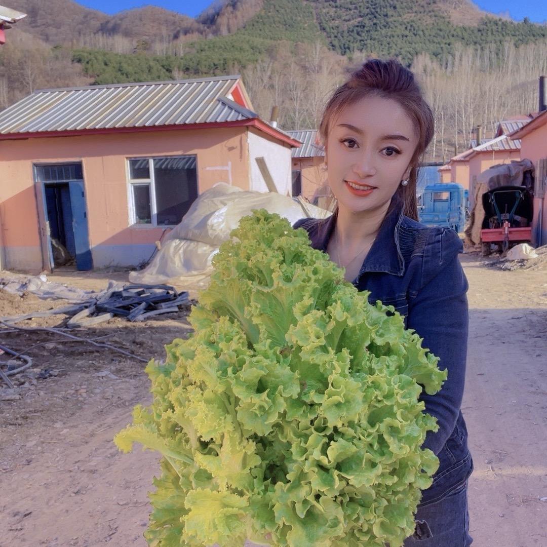 广龙宾馆@经理的日常碎片🧩