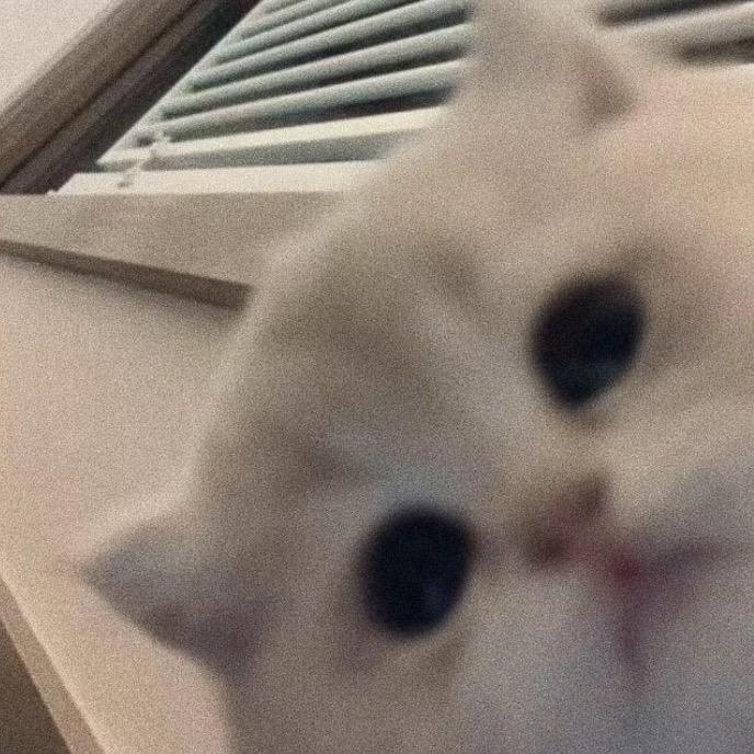 和你说晚安