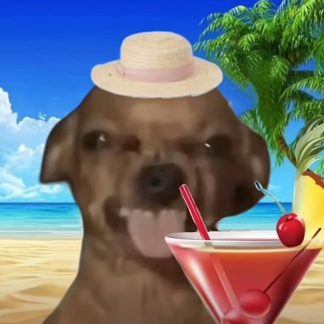 Y.y