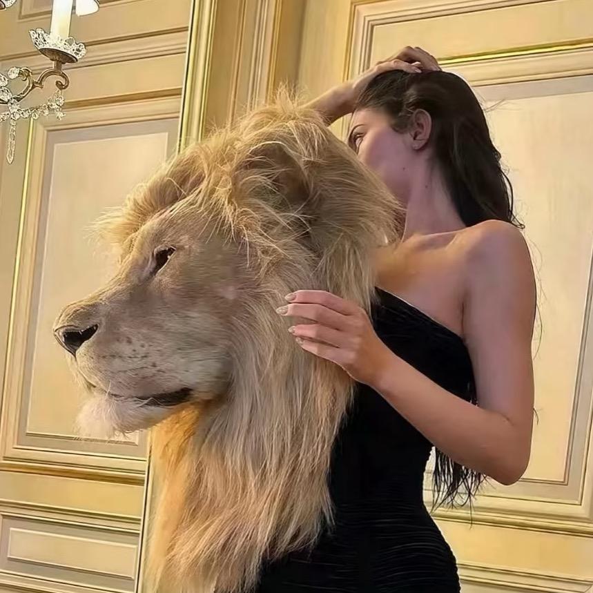 小狗乖乖、