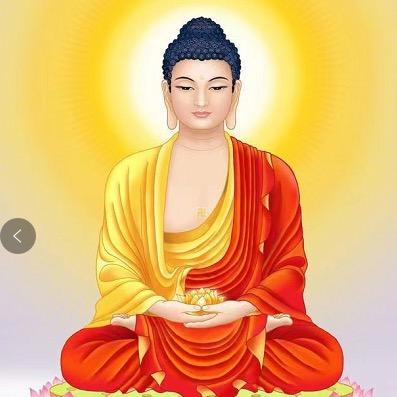 空莲居士