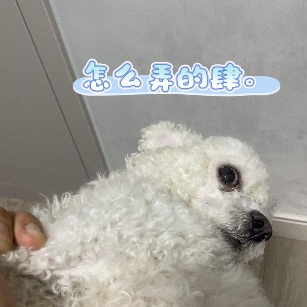 平安富贵