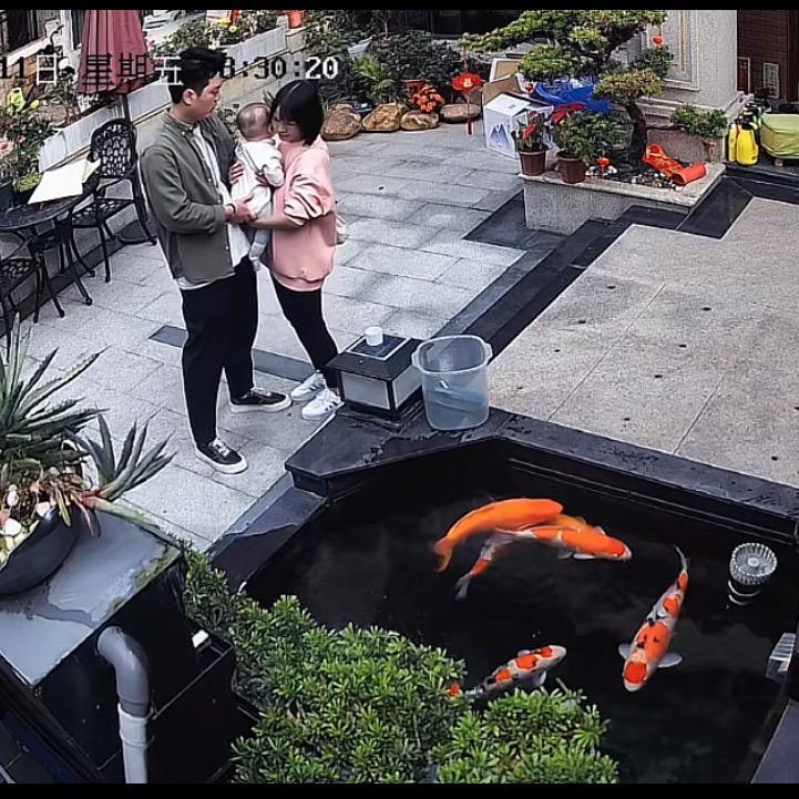 珠宝哥与锦鲤