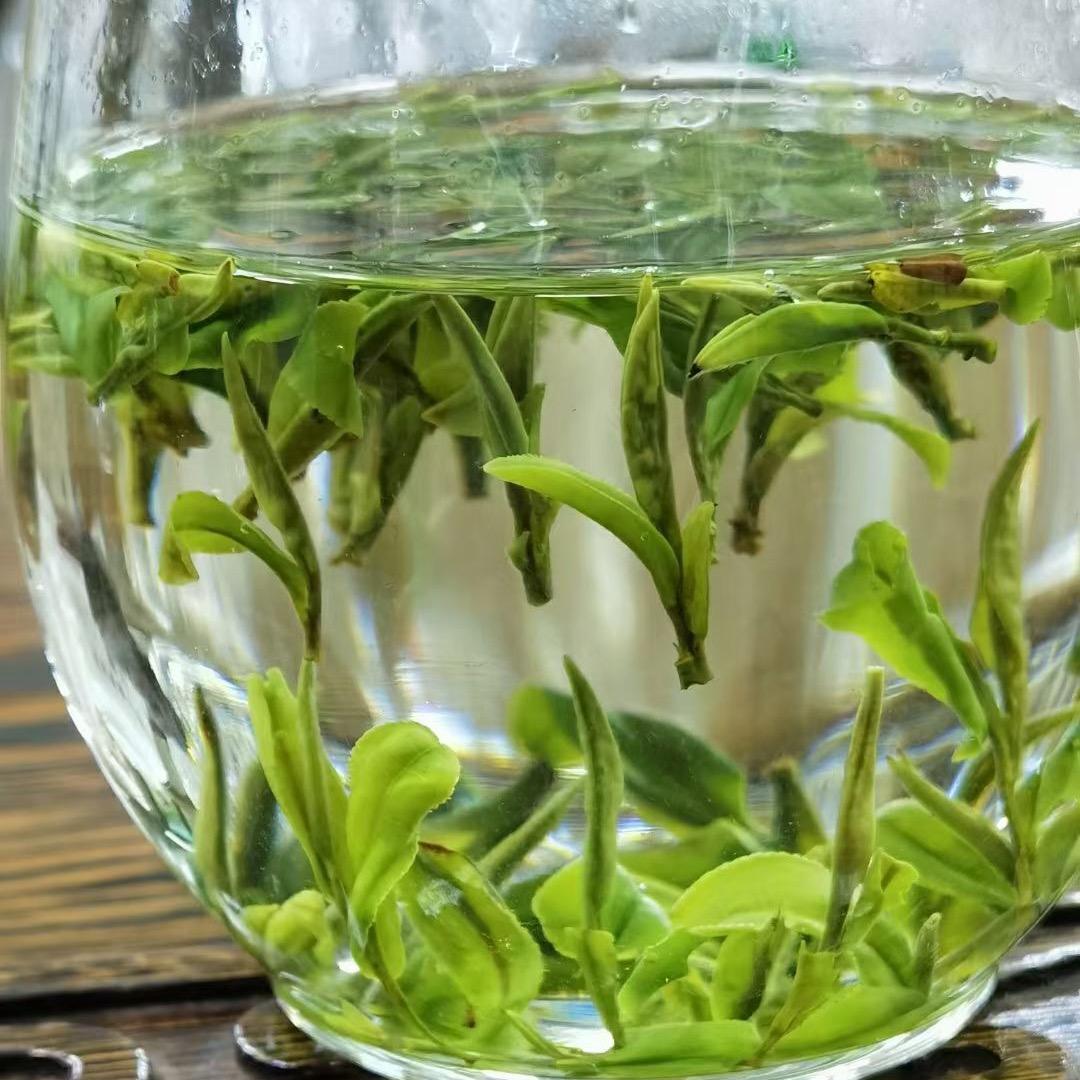茶语仙子