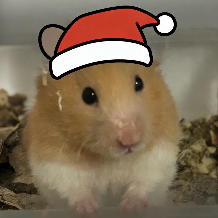 我家土豆最可爱