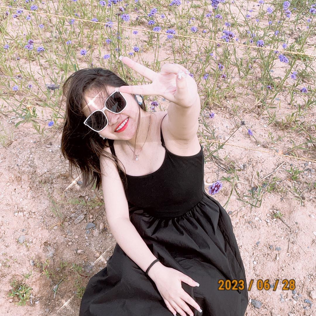 妹的姐姐