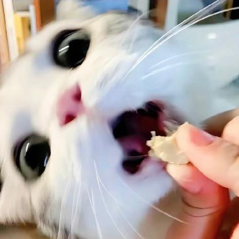这条小鱼在乎