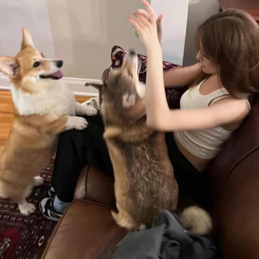 如果睡觉是一种天赋^