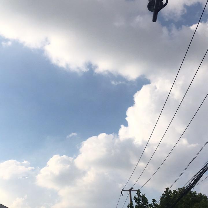 人贵有自知之明