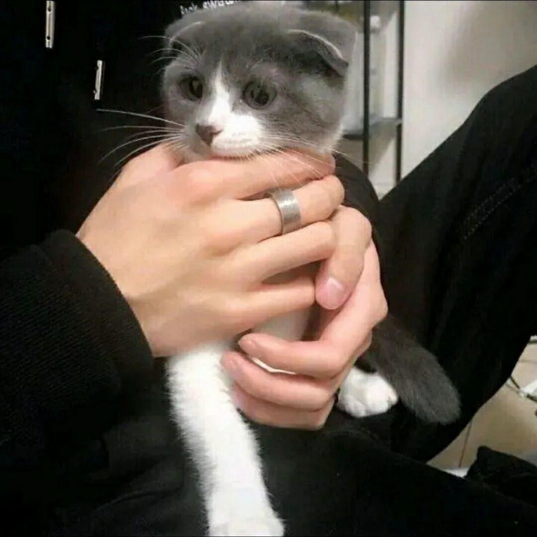 XIAO夏
