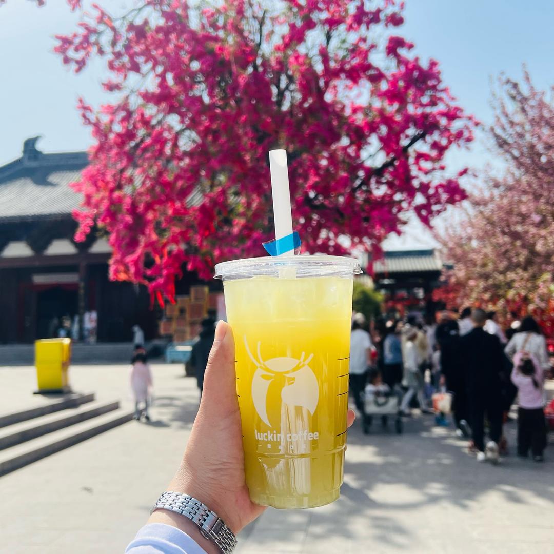 白茶清欢无别事·