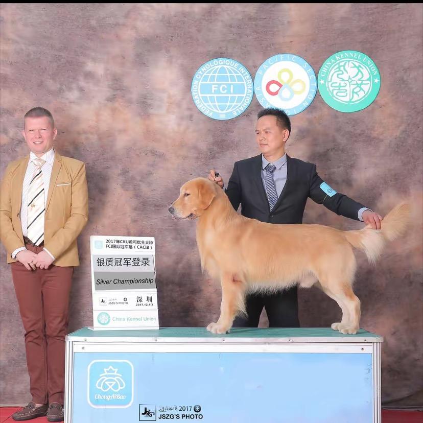 东莞耀星宠物