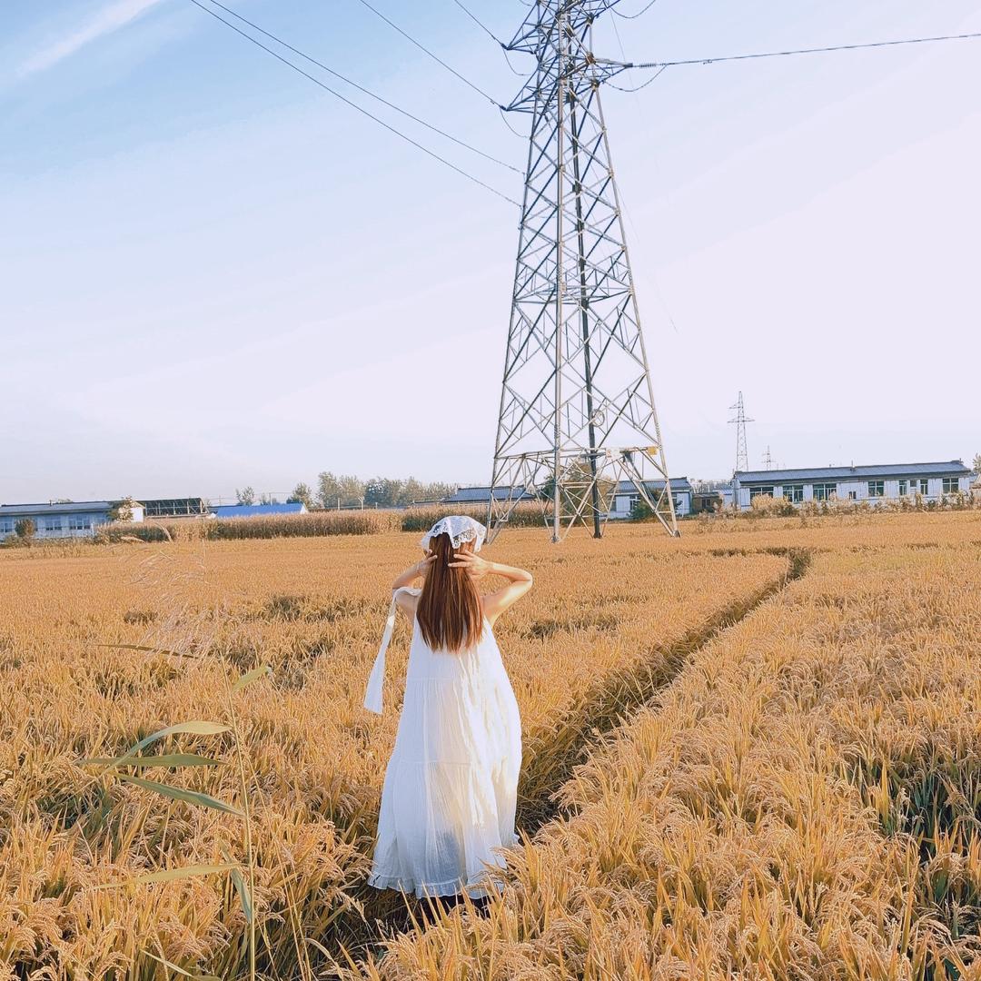 伊伊～不吃鱼🧚🏼‍♂️