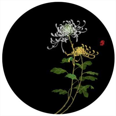 盘州创业者部落