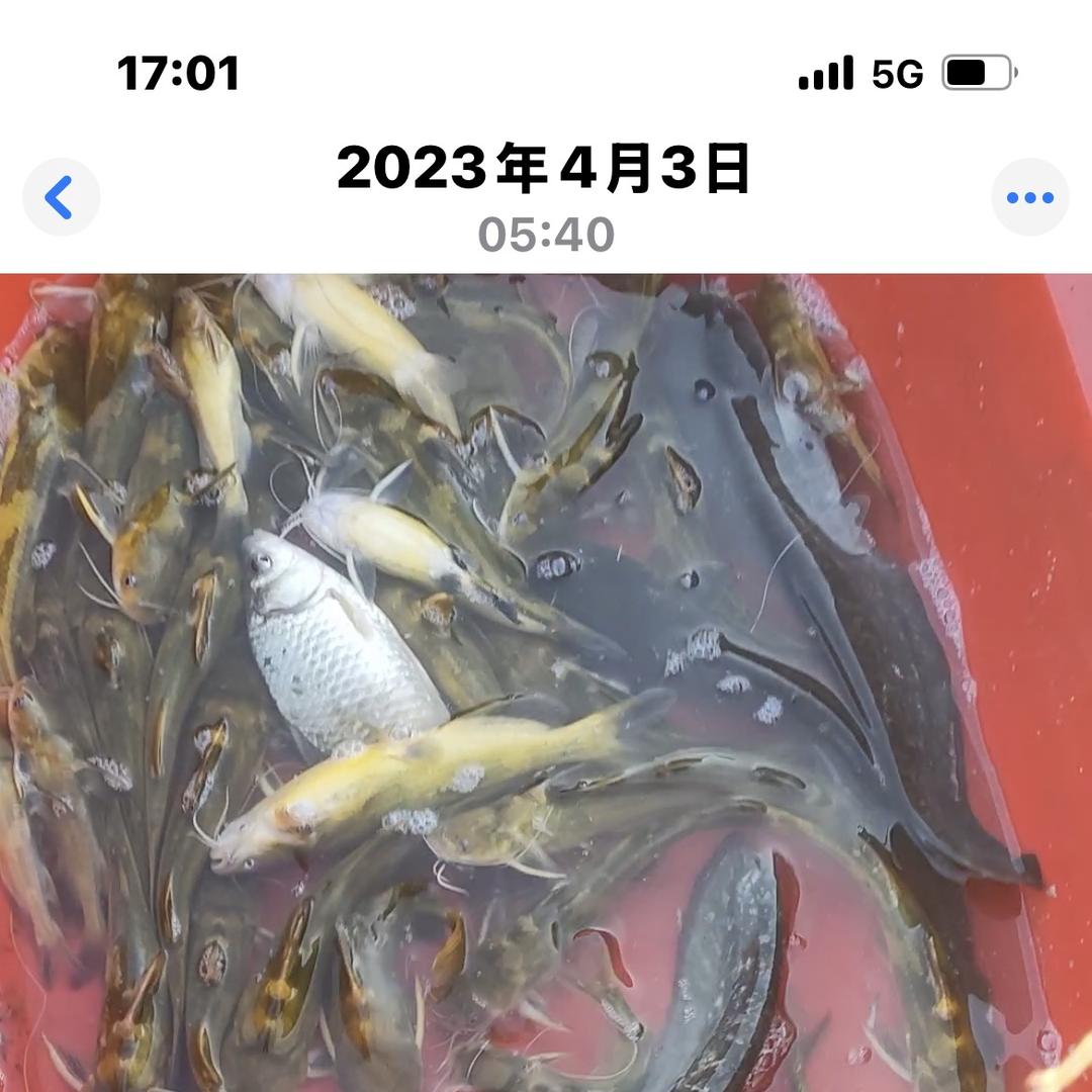 发财树农副产品生活坊