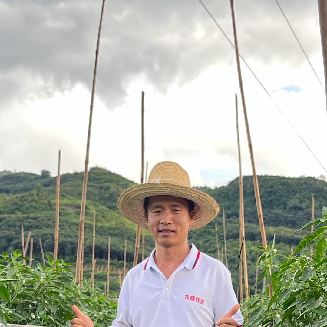 农峰小顺