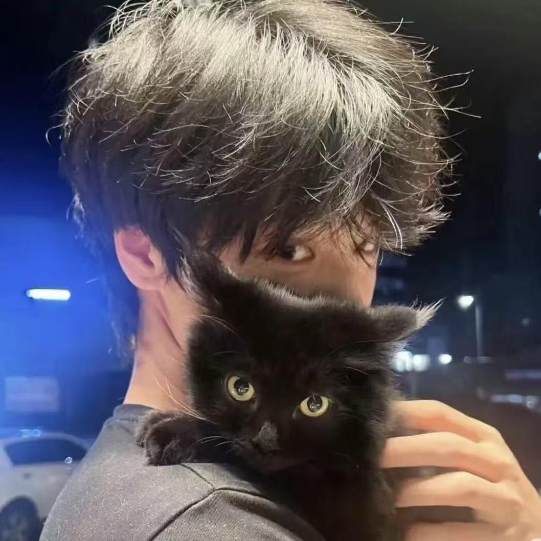 𝓐𝓬𝓱𝓲𝓵𝓵𝓮𝓼